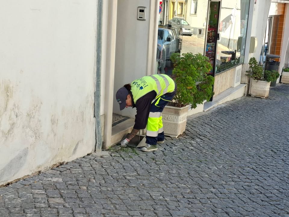Não paramos Diversas intervenções de limpeza e de manutenção. Excelente desempenho dos nossos operacionais. ##Palmelamaislimpa…